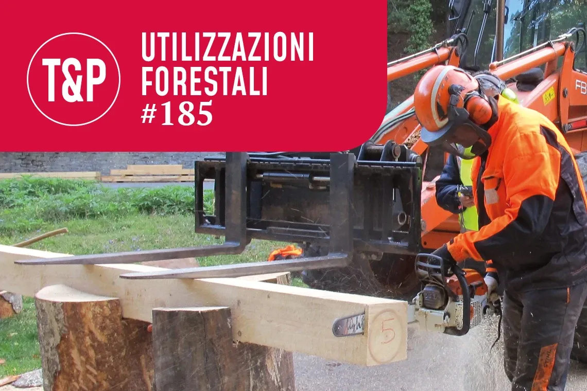 Velocità di taglio e vibrazioni nell’uso della motosega. Valutazioni sul delimitatore di profondità
