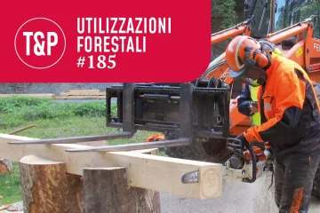 Velocità di taglio e vibrazioni nell’uso della motosega. Valutazioni sul delimitatore di profondità