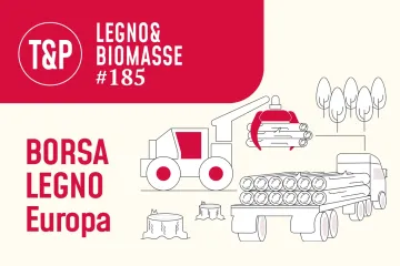 Rubrica Borsa Legno: prezzi del legname venduto bordo strada in Svizzera nel 2025-2026