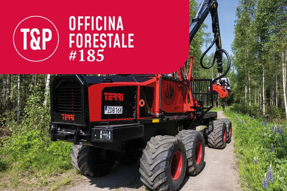 Nuova versione della combinata (harvester e forwarder) Terri 3CW