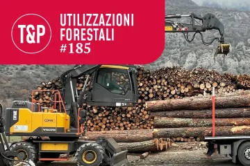 Formazione e conformità degli escavatori nel settore forestale. Cosa cambia con il nuovo accordo Stato-Regioni