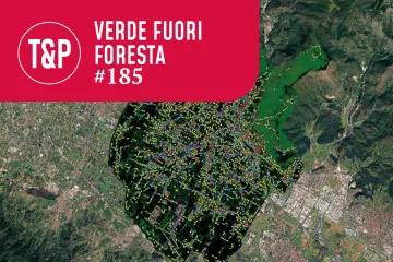 La firma spettrale degli alberi. Un anno di monitoraggio satellitare degli alberi di Prato