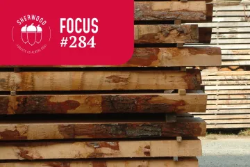 Il mercato del legno: tra crisi congiunturali e sviluppi positivi di lungo periodo