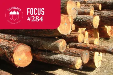 Mercato del legno: serve una nuova governance