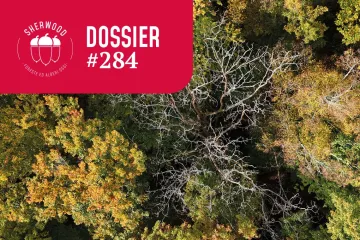 LIFE SPAN: integrare la biodiversità saproxilica nella gestione forestale