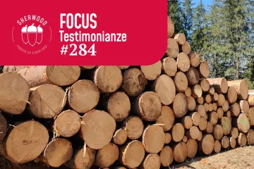 Proprietà pubbliche: situazione attuale, criticità e prospettive nelle foreste demaniali trentine