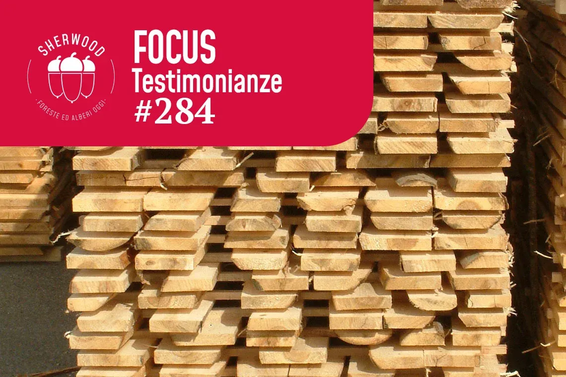 Trasformatori del legno: la necessità di fare sistema