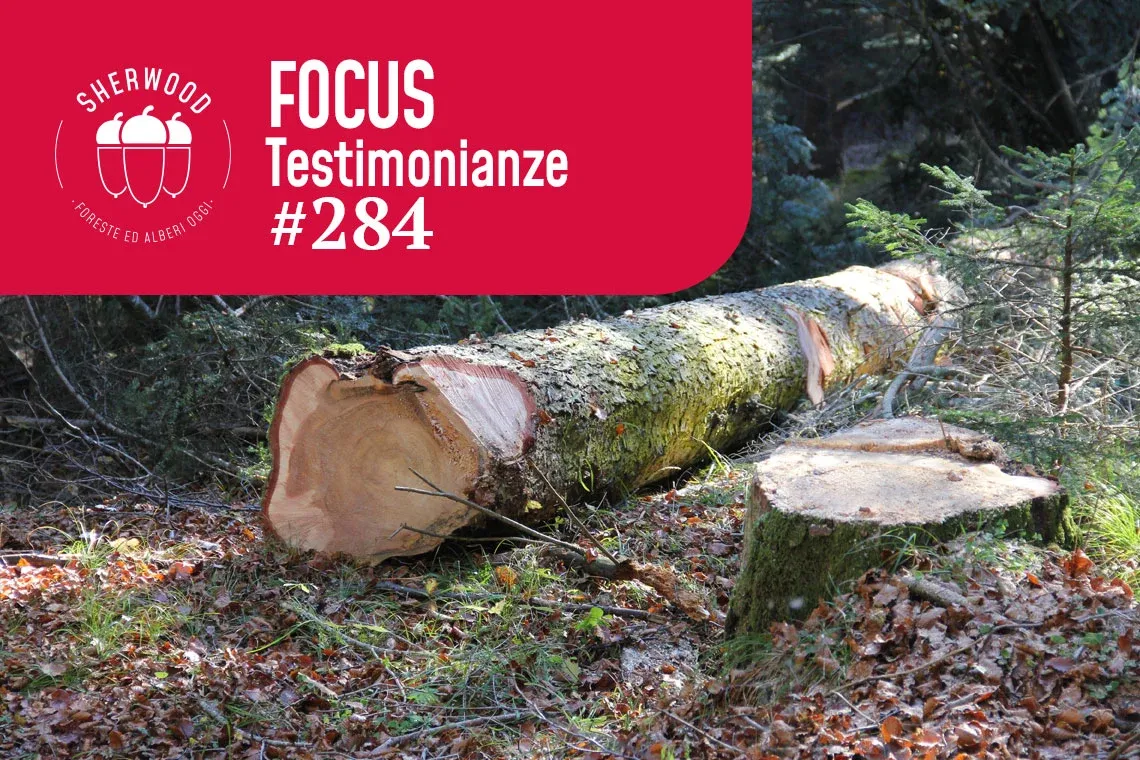 Ruolo del Cluster nel sistema Foresta legno nazionale