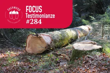 Il ruolo del Cluster nazionale nel sistema Foresta legno italiano