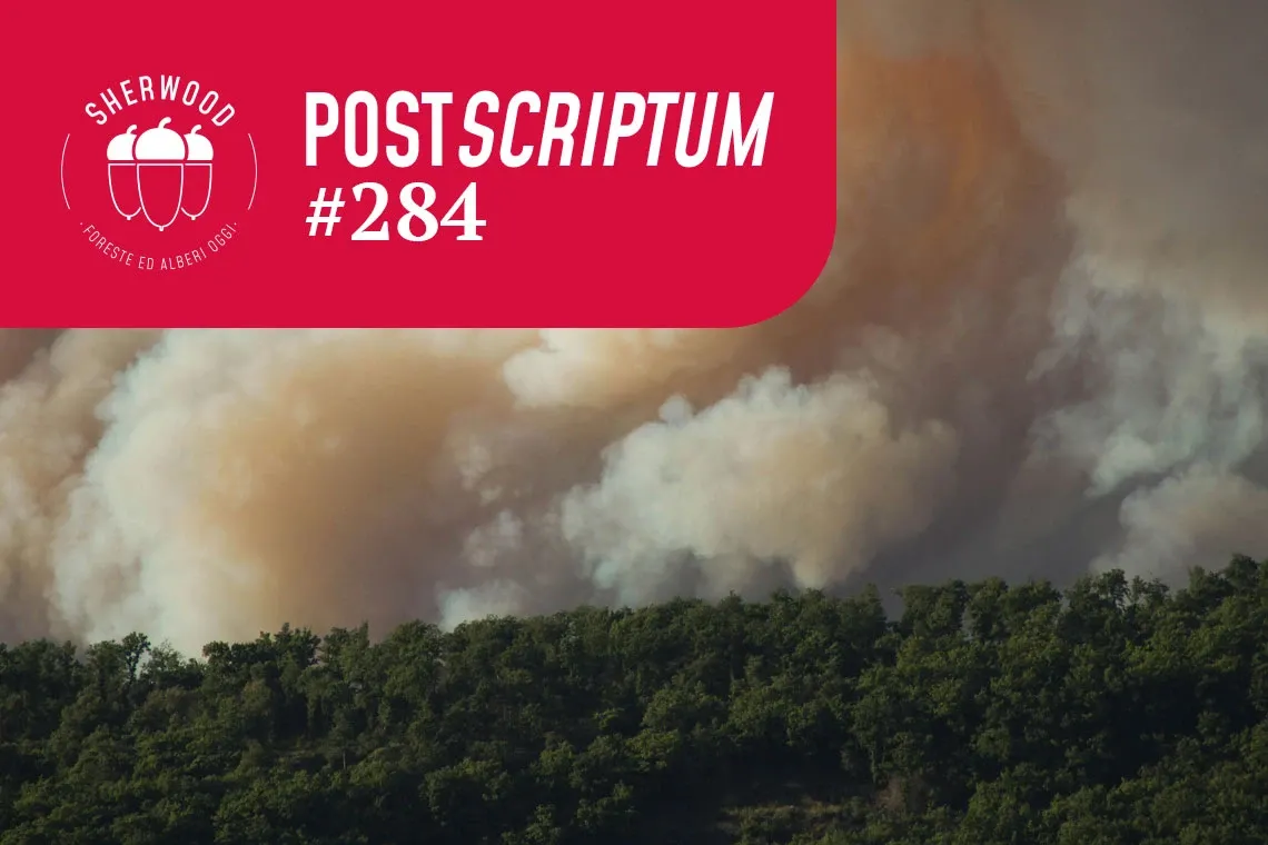 Incendi e aree protette: abbiamo una strategia integrata?