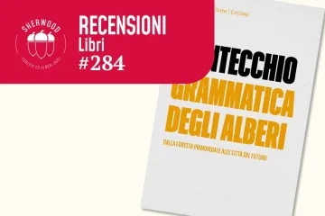 La grammatica degli alberi: il nuovo libro di Lucio Montecchio