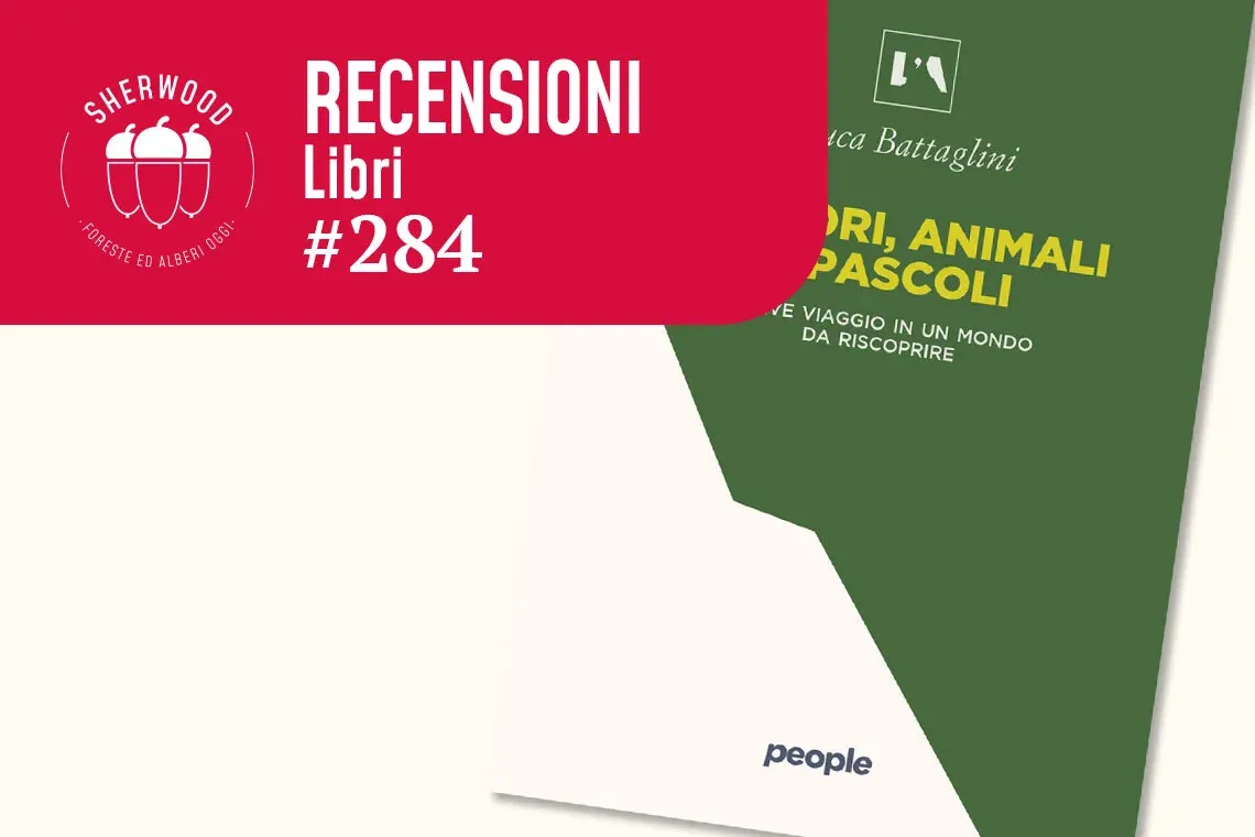 Pastori, animali e pascoli: un libro sulla pastorizia in montagna