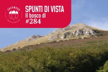 Urbinati e la faggeta di Bocca di Valle: una lezione di ecologia e gestione forestale