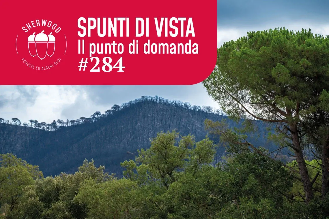 Incendi boschivi: sapremo quantificare la prevenzione?