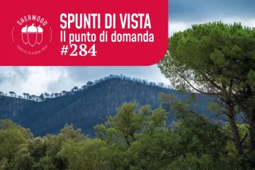 Incendi boschivi: sapremo quantificare la prevenzione?