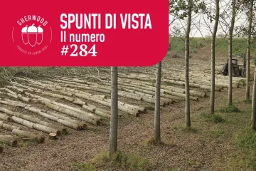 Obiettivo 100.000 ettari: la sfida per il futuro della pioppicoltura