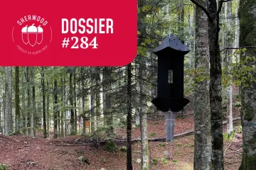 Monitorare la fauna per capire la foresta: cosa ci insegna LIFE SPAN