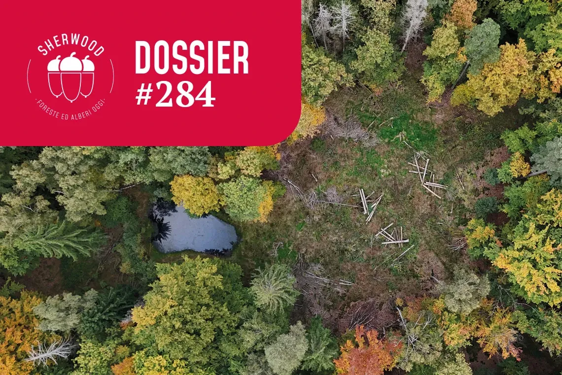 Foresta Universitaria di Sailershausen: modello di gestione integrata