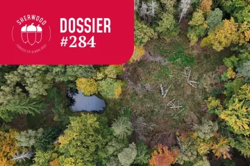 La Foresta Universitaria di Sailershausen, un modello di gestione integrata per la sostenibilità economica e ambientale