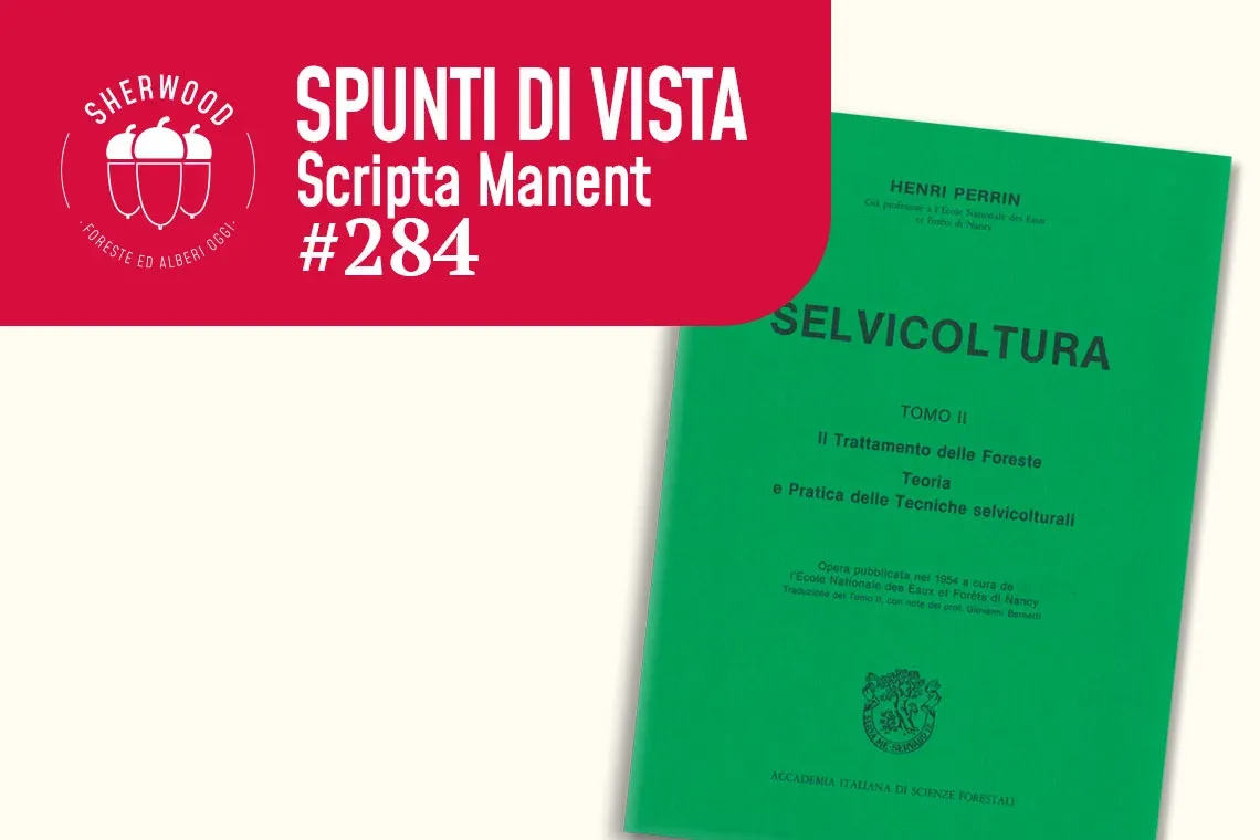 Bernetti, la selvicoltura e le “basi di meditazione”