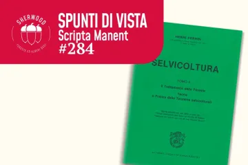 Giovanni Bernetti: perché la selvicoltura ha bisogno anche di “basi di meditazione”