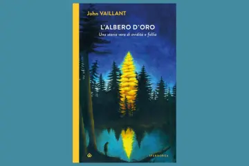 L'albero d'oro, di John Vaillant: "Un libro che dovrebbe essere letto da tutti i forestali"