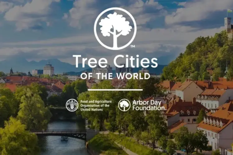 “Tree Cities of the World”: le opportunità dell'iniziativa e come candidare il proprio comune