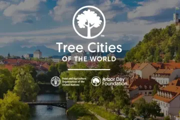 “Tree Cities of the World”: le opportunità dell'iniziativa e come candidare il proprio comune