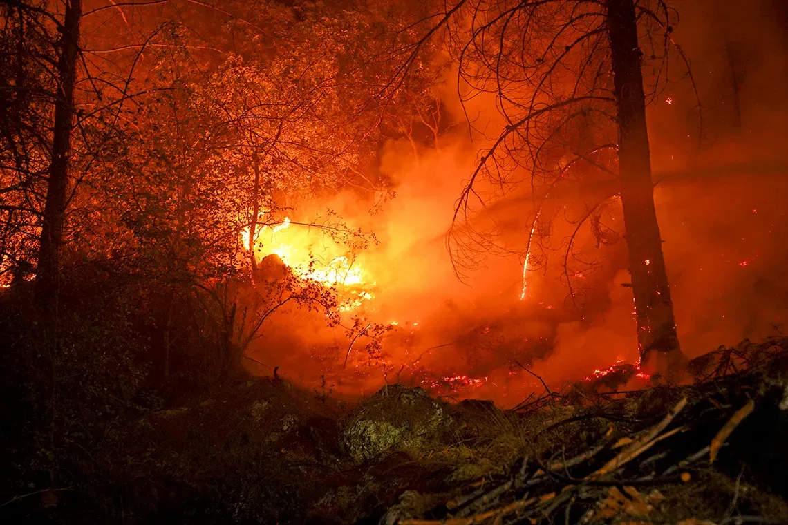 Incendi in Europa 2026, strategia UE e superficie bruciata