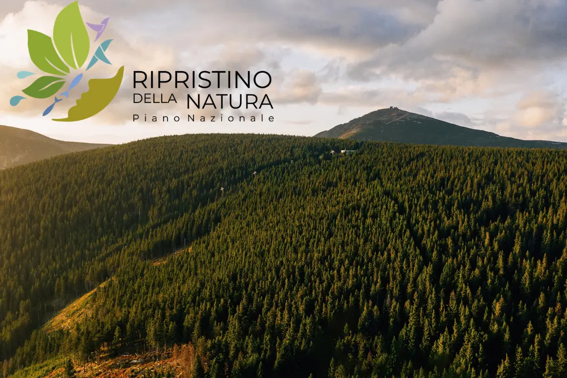 Piano Nazionale di Ripristino