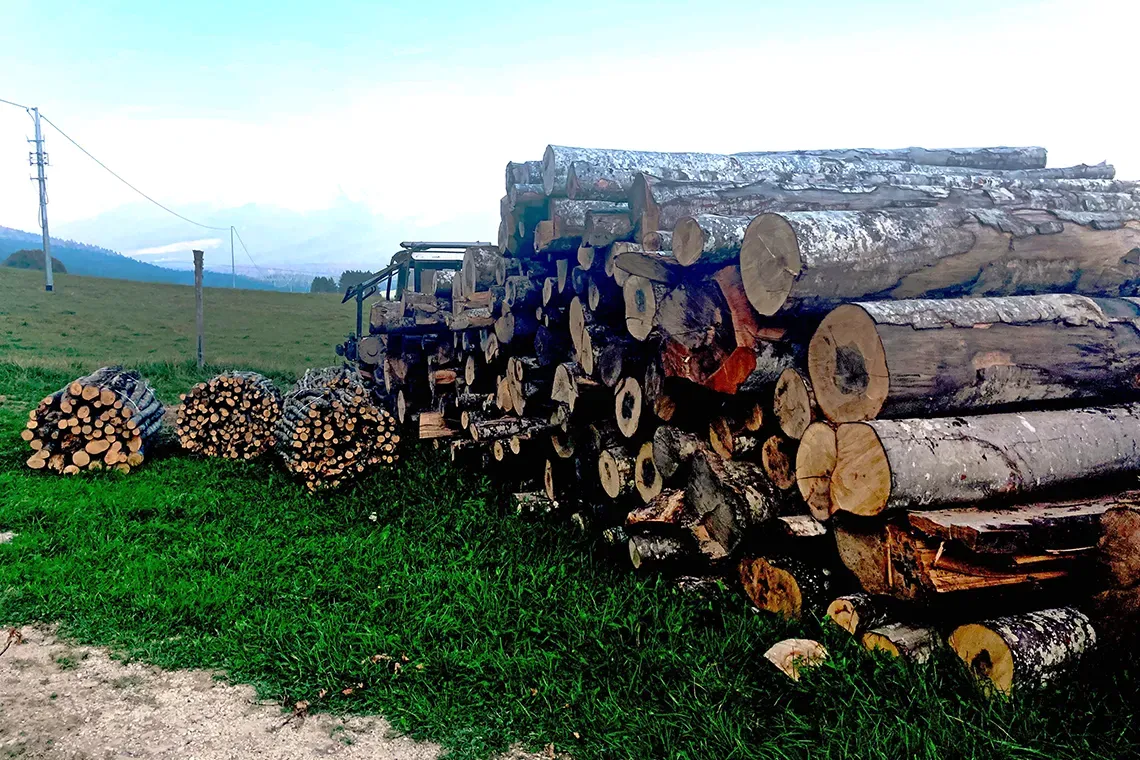 Ecomondo 2026: un convegno sul valore della filiera locale del legno