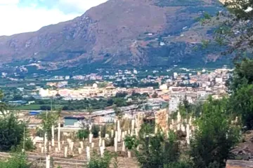 Piantare alberi oggi: una necessità, una scienza, una responsabilità. Workshop nazionale a Palermo