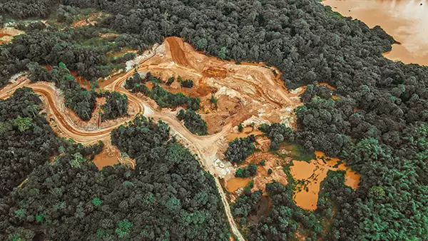 Regolamento contro la deforestazione 1