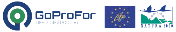 GoProFor logo