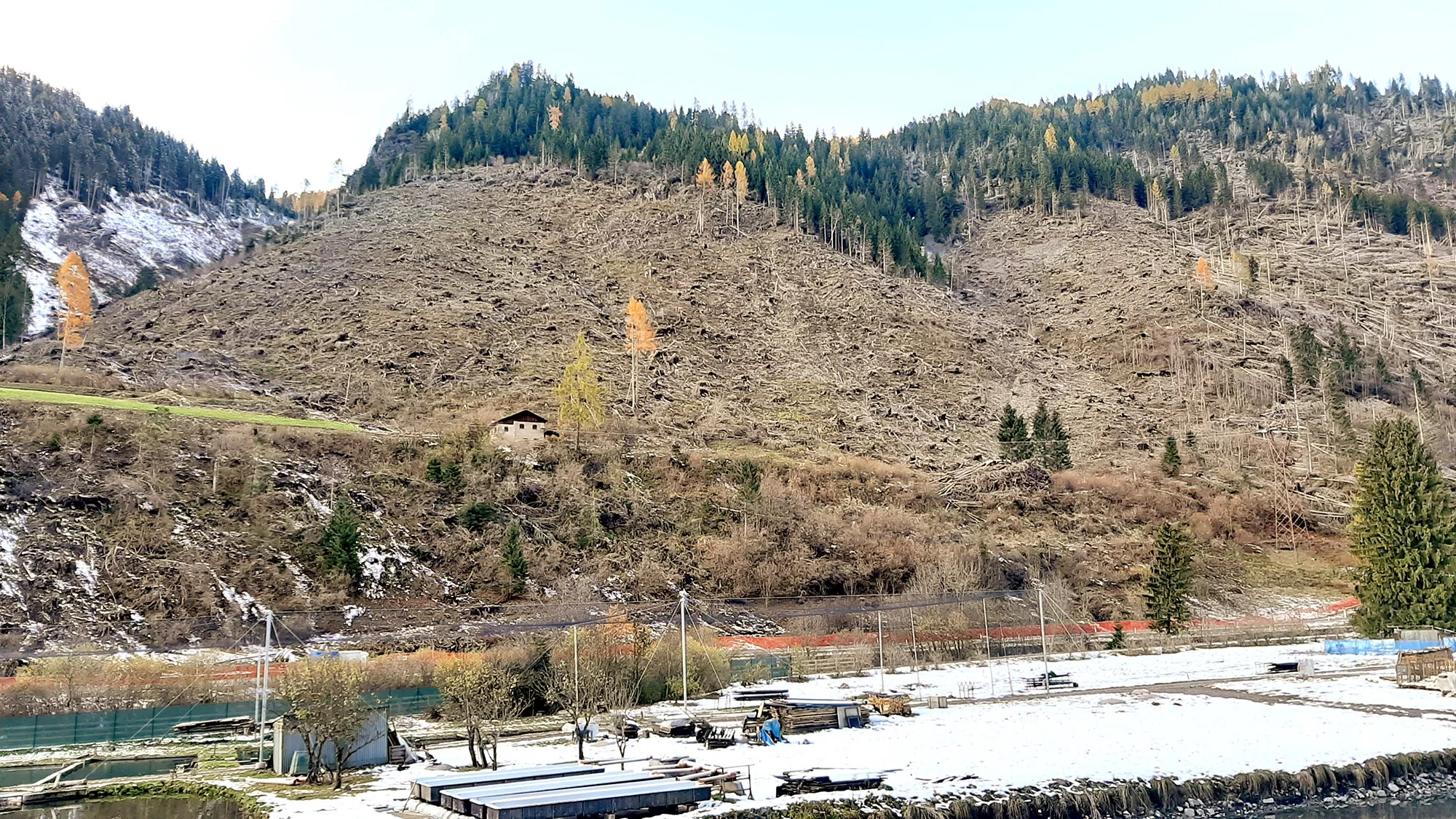 art4 07 La funzione protettiva degli schianti Predazzo loc Mezzavalle