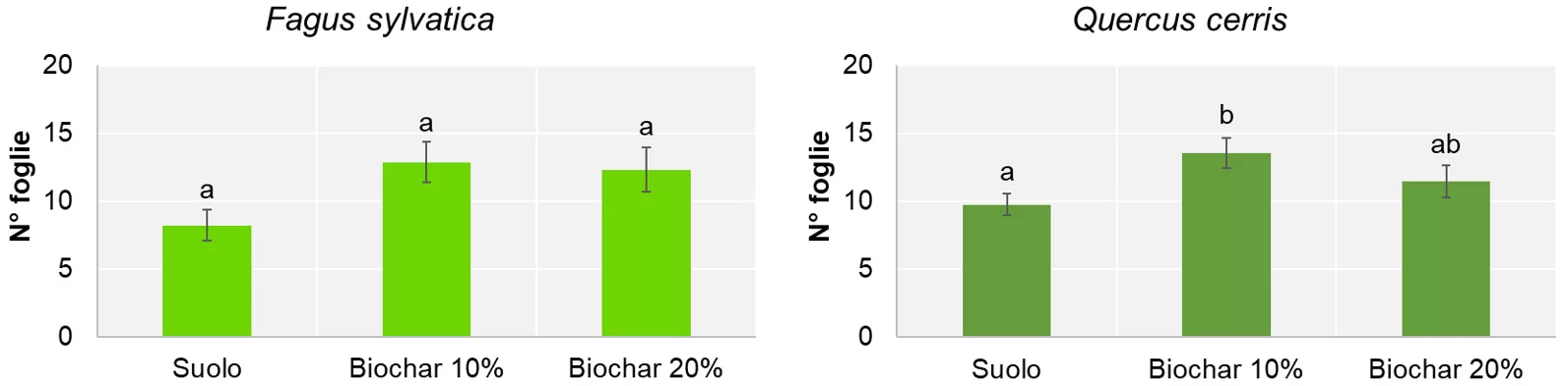 Effetti biochar sulla crescita arborea 2grafici 2