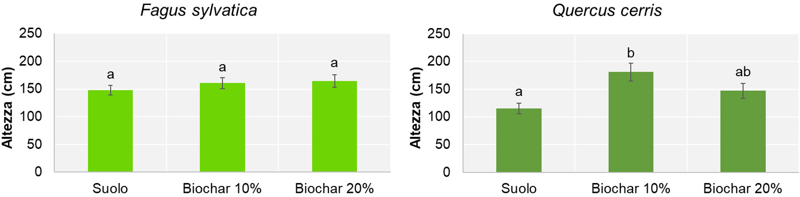 Effetti biochar sulla crescita arborea 2grafici 3