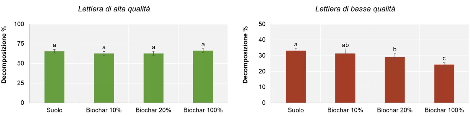 Effetti biochar sulla crescita arborea 2grafici 4