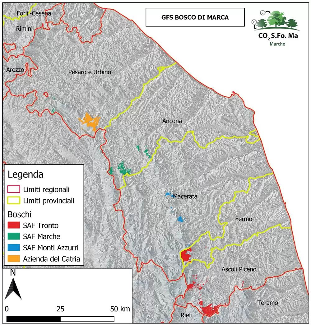 art Progetto CO2SFoMa MARCHE Bosco di Marca1