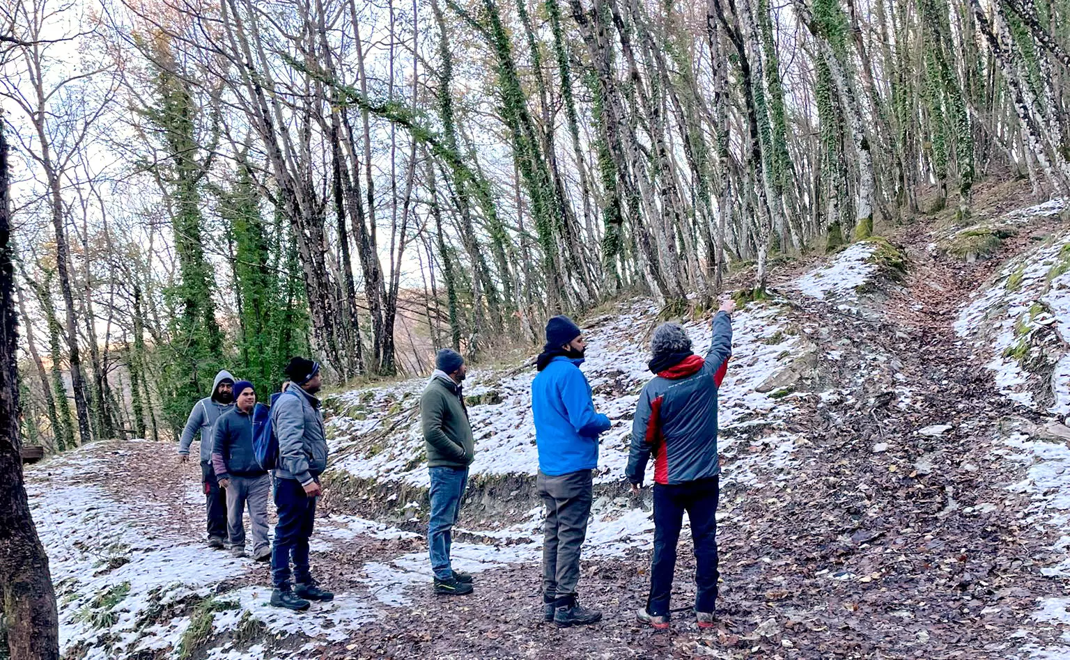 art Progetto CO2SFoMa MARCHE Saf Marche2