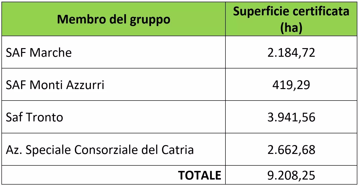 art Progetto CO2SFoMa MARCHE tabella