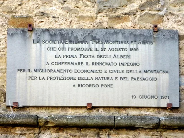 Baccelli