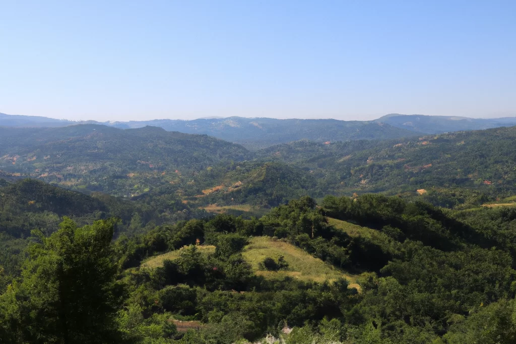 ChatGPT alle prese con Gestione Forestale Sostenibile 4