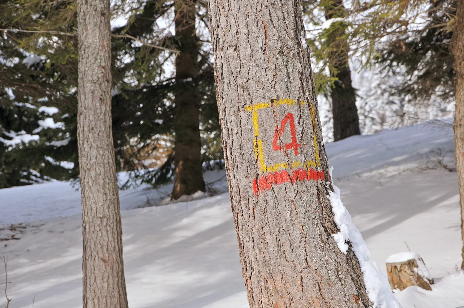 pianificazione nuovo decreto