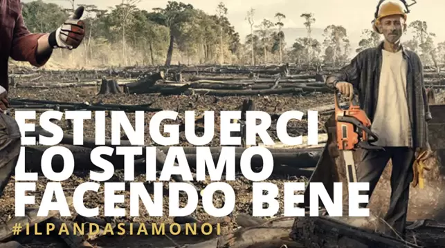 art19 Perche Stihl promuove Gestione Forestale Sostenibile e
