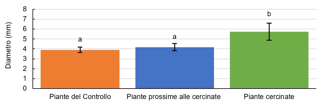 art20 Effetti cercinatura su necromassa faggeta Grafico1