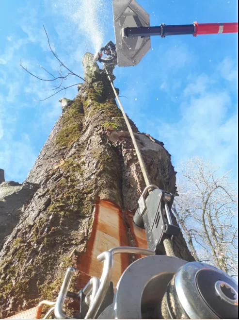 nl75 tp 05 Abbattimento controllato con ATD