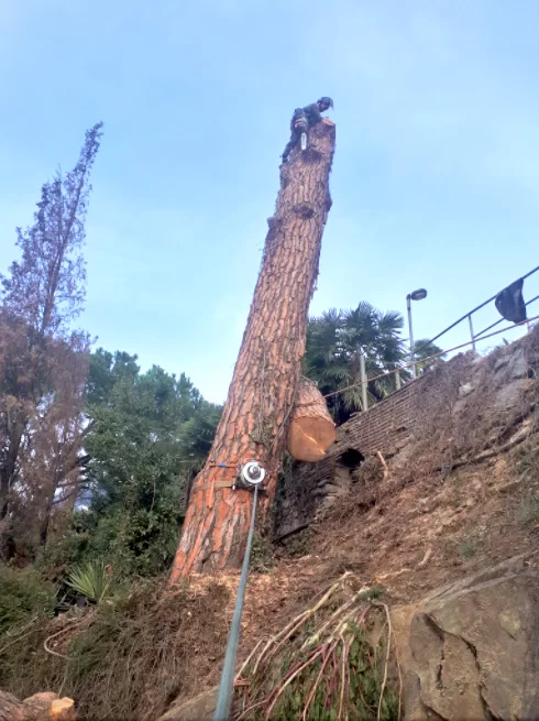 nl75 tp 06 Abbattimento controllato con ATD