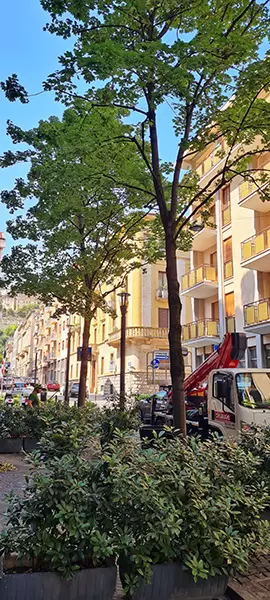 Approccio per corretta gestione