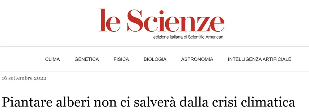 nw08 Chiodi di legno 1